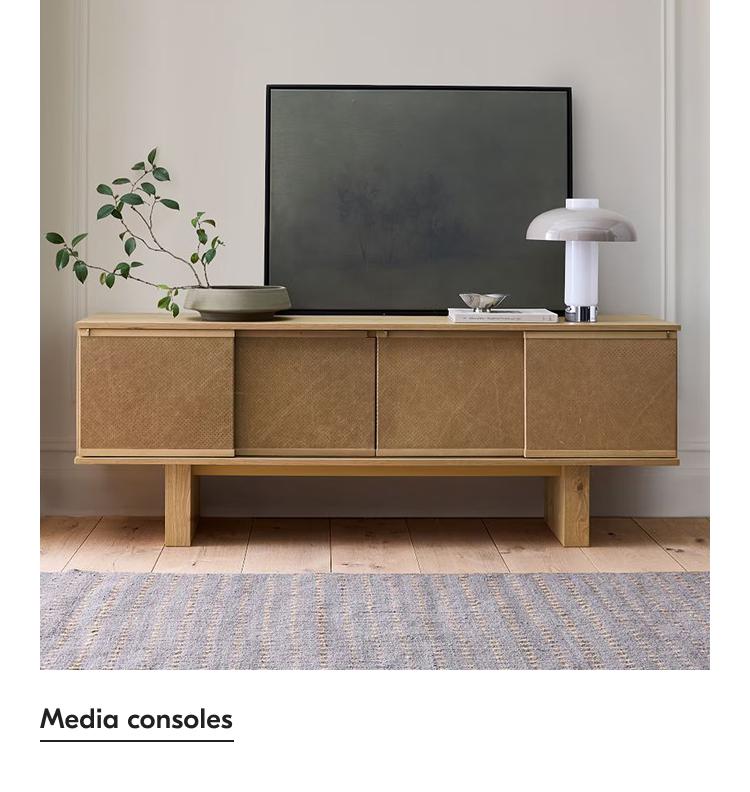 Media Consoles