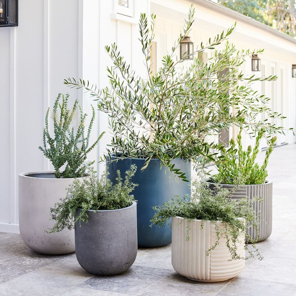 Cecilia Ficonstone Indoor/Outdoor Planters