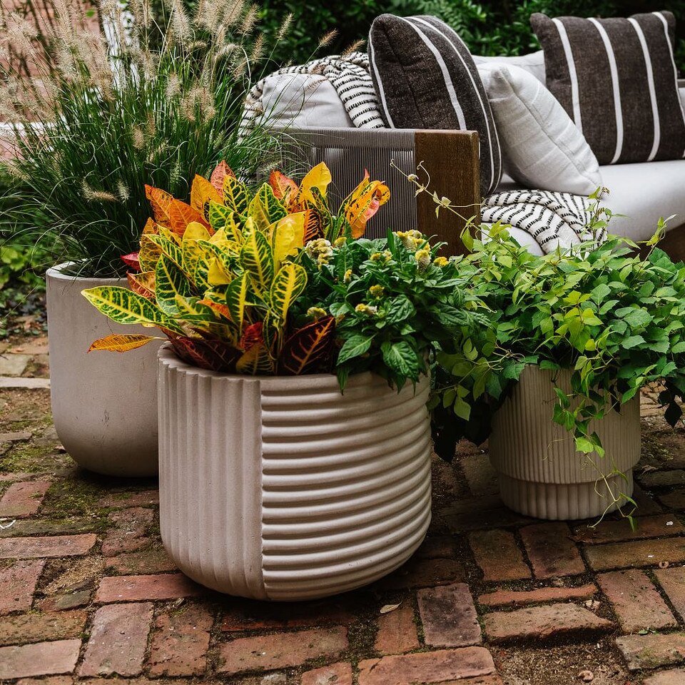 Cecilia Ficonstone Indoor/Outdoor Planters