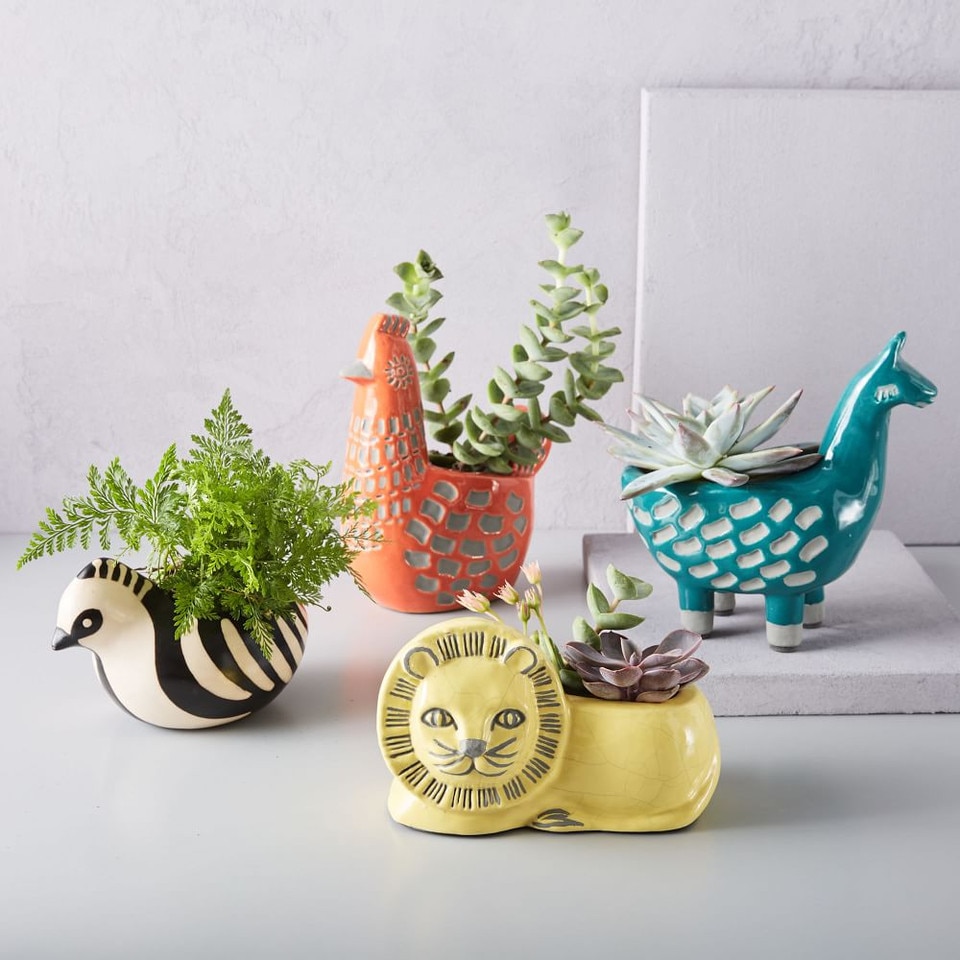 Ceramic Animal Planters