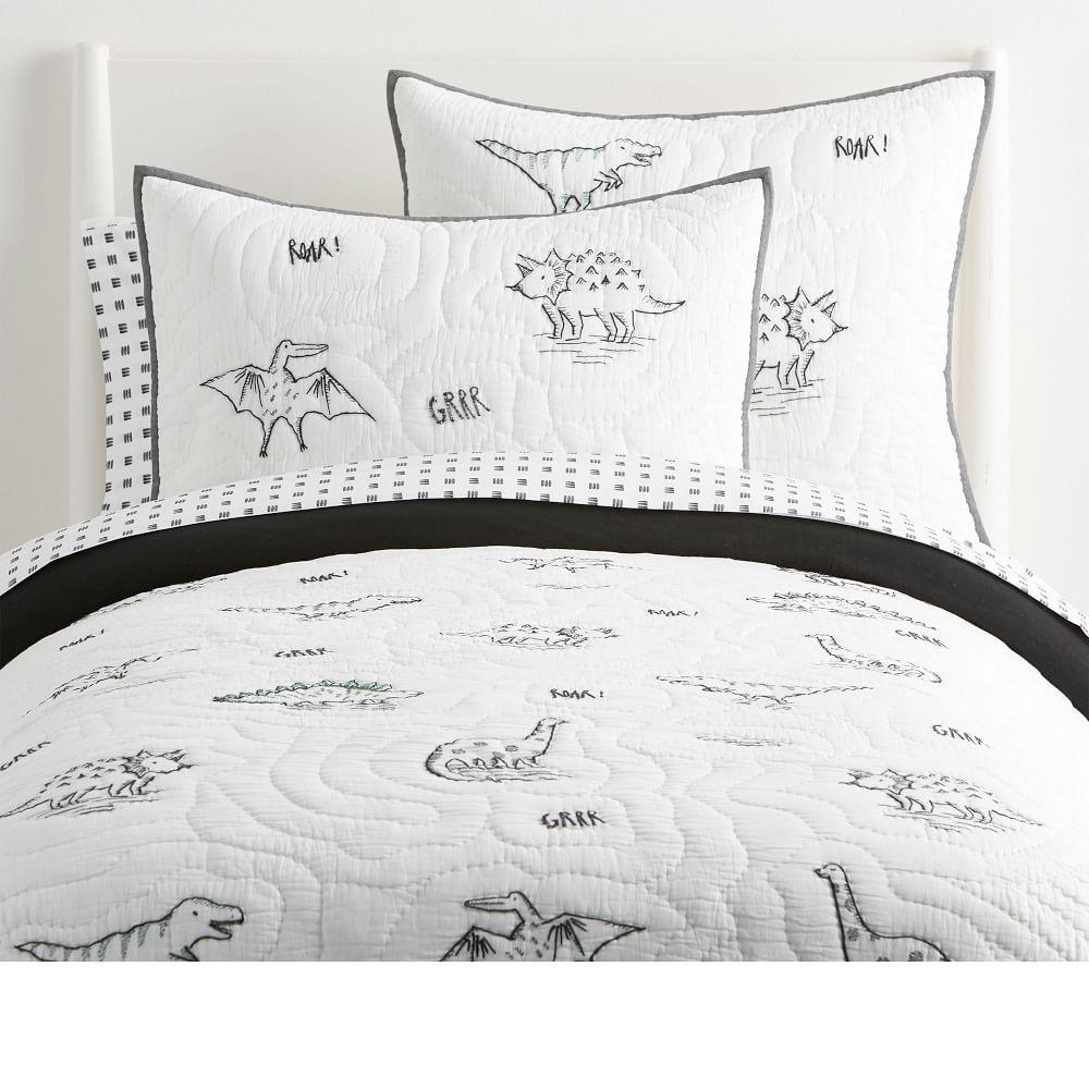 dinosaur coverlet