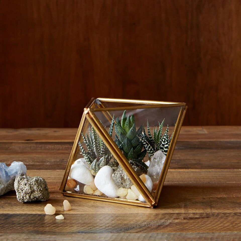 Faceted Terrariums West Elm Australia