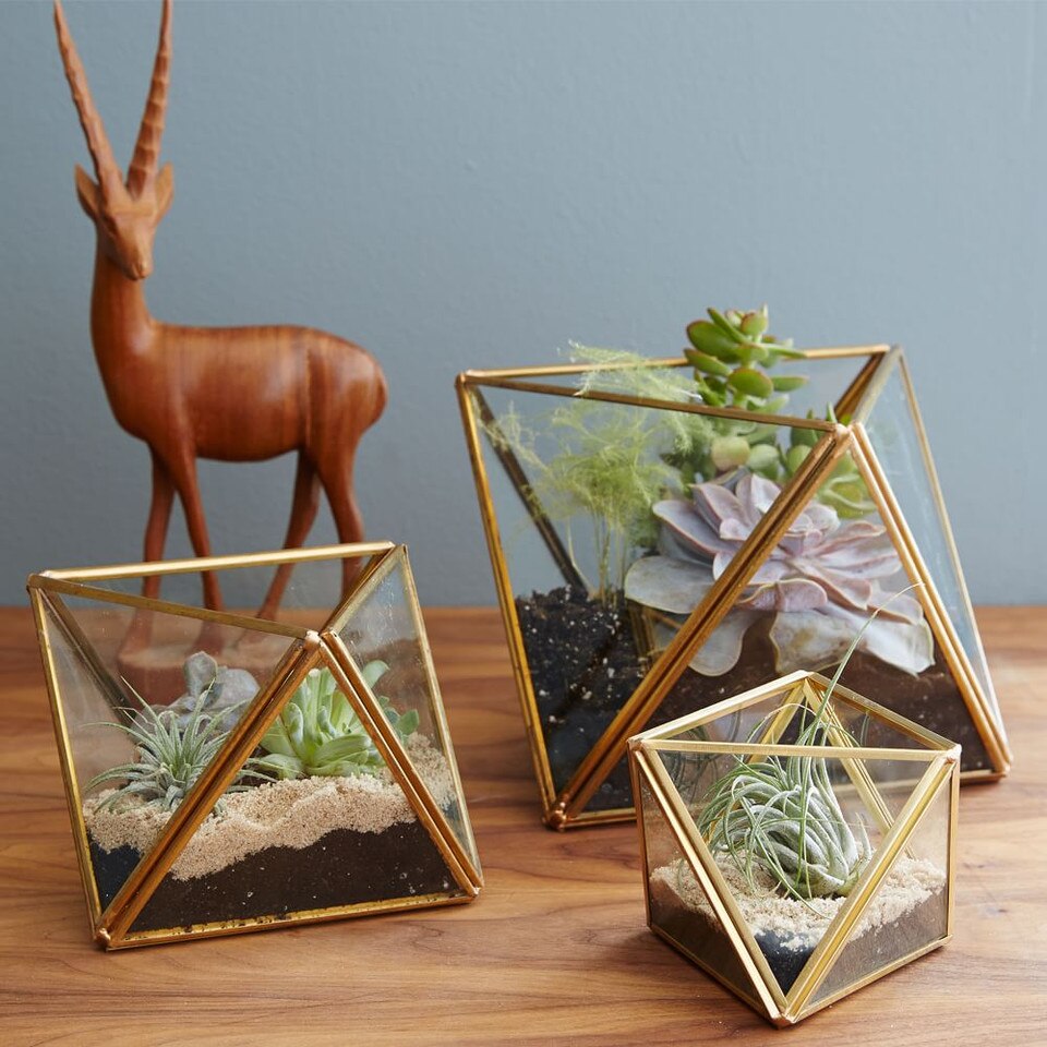Faceted Terrariums West Elm Australia