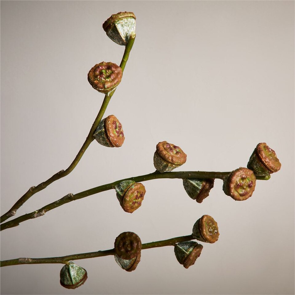 Faux Eucalyptus Pod Branch