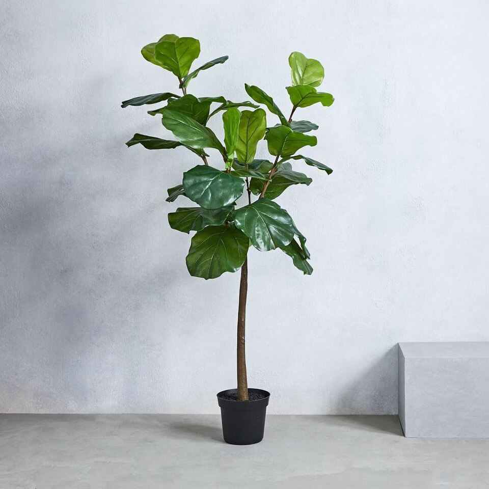 Faux Fiddle Leaf Fig Plant