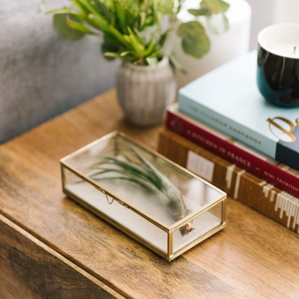 Glass Shadow Boxes