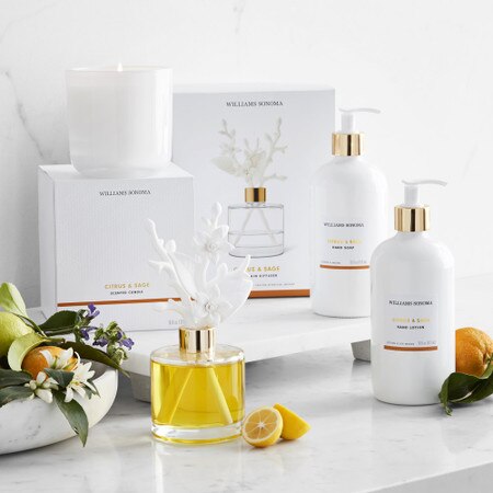 Williams Sonoma Home Fragrance Porcelain Diffuser, Citrus Sage