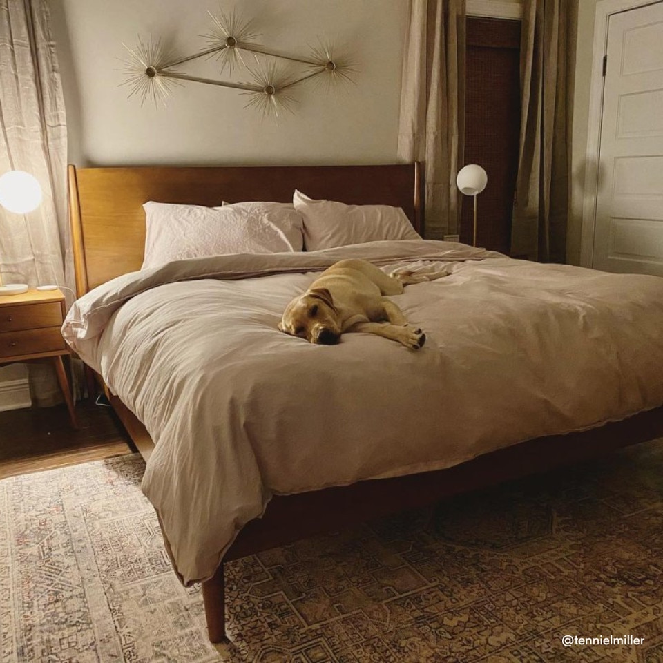Mid-Century Bed | Modern Design | West Elm Australia