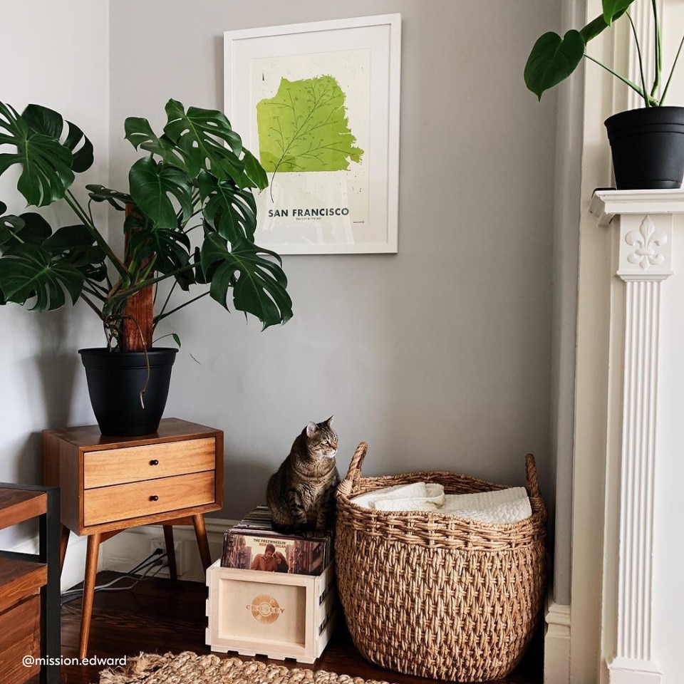Mid-Century Closed Bedside Table (46 cm − 64 cm)