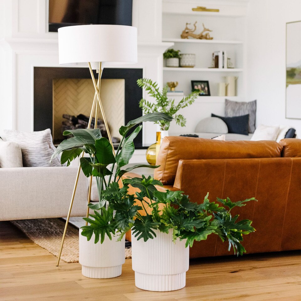 Mid-Century Tripod Floor Lamp (168 cm)