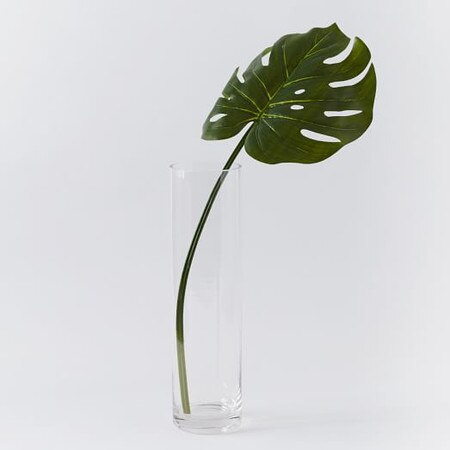 Artificial Plants Flowers West Elm Australia