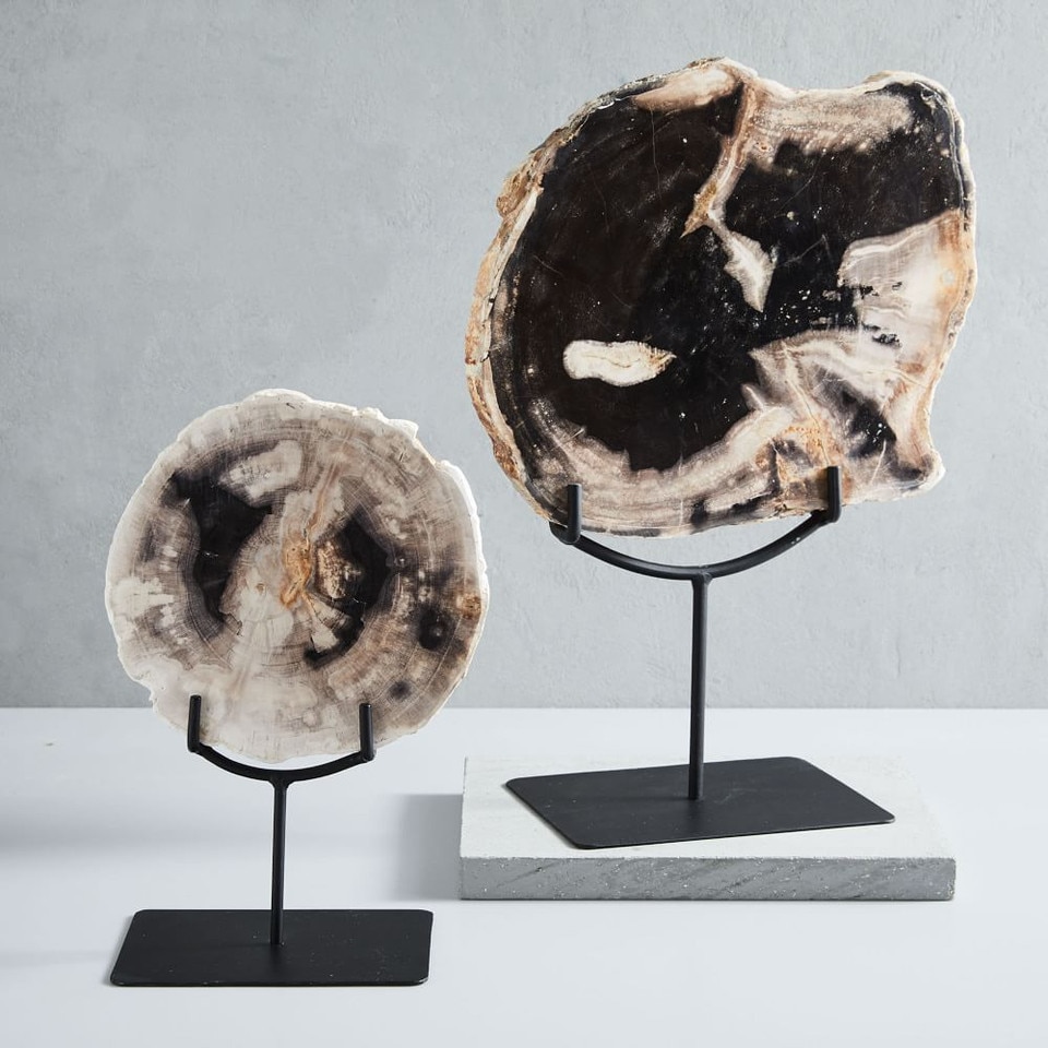 Petrified Wood Object on Stand
