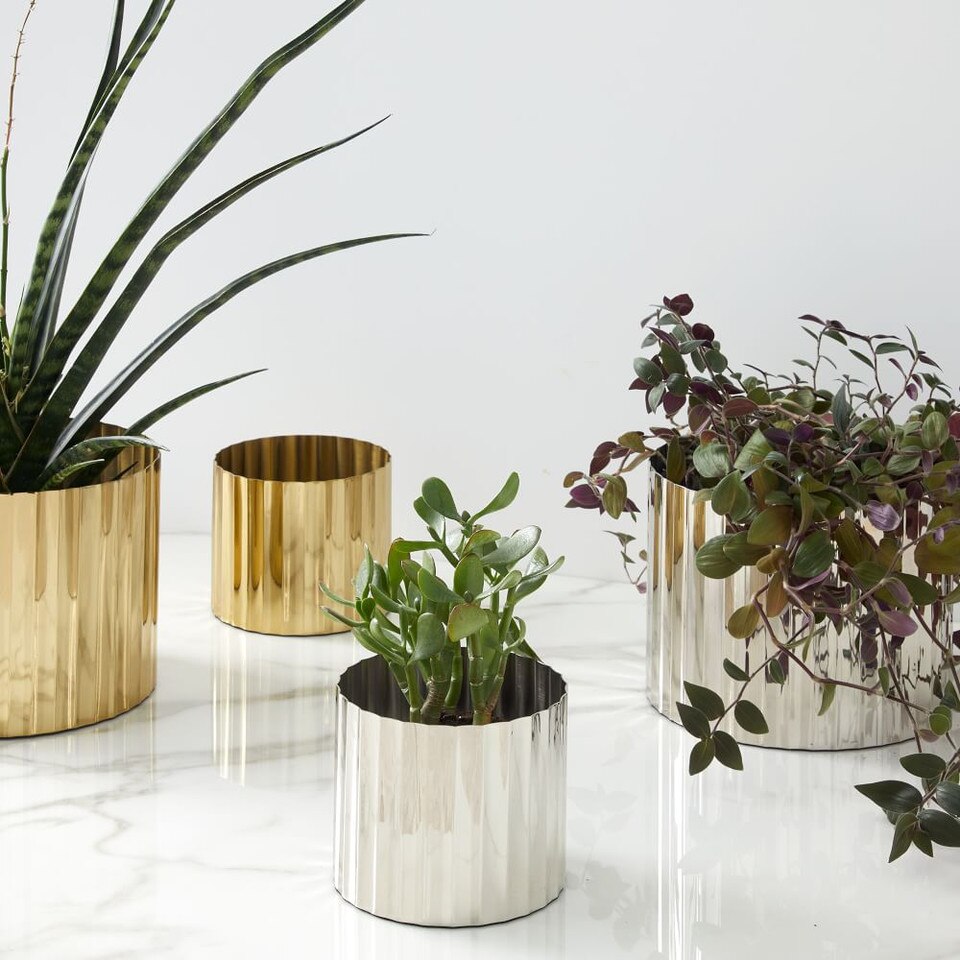 Pure Foundations Metal Tabletop Planters Polished Brass west elm Australia