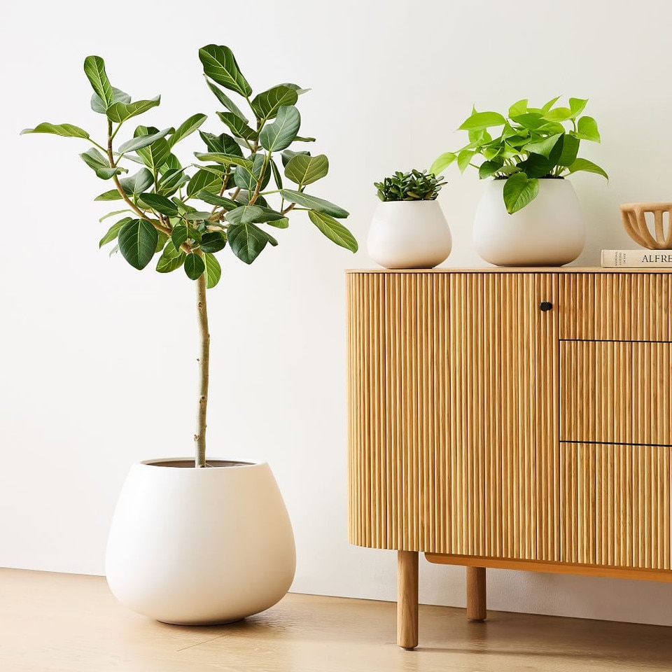 Pure White Ceramic Planters