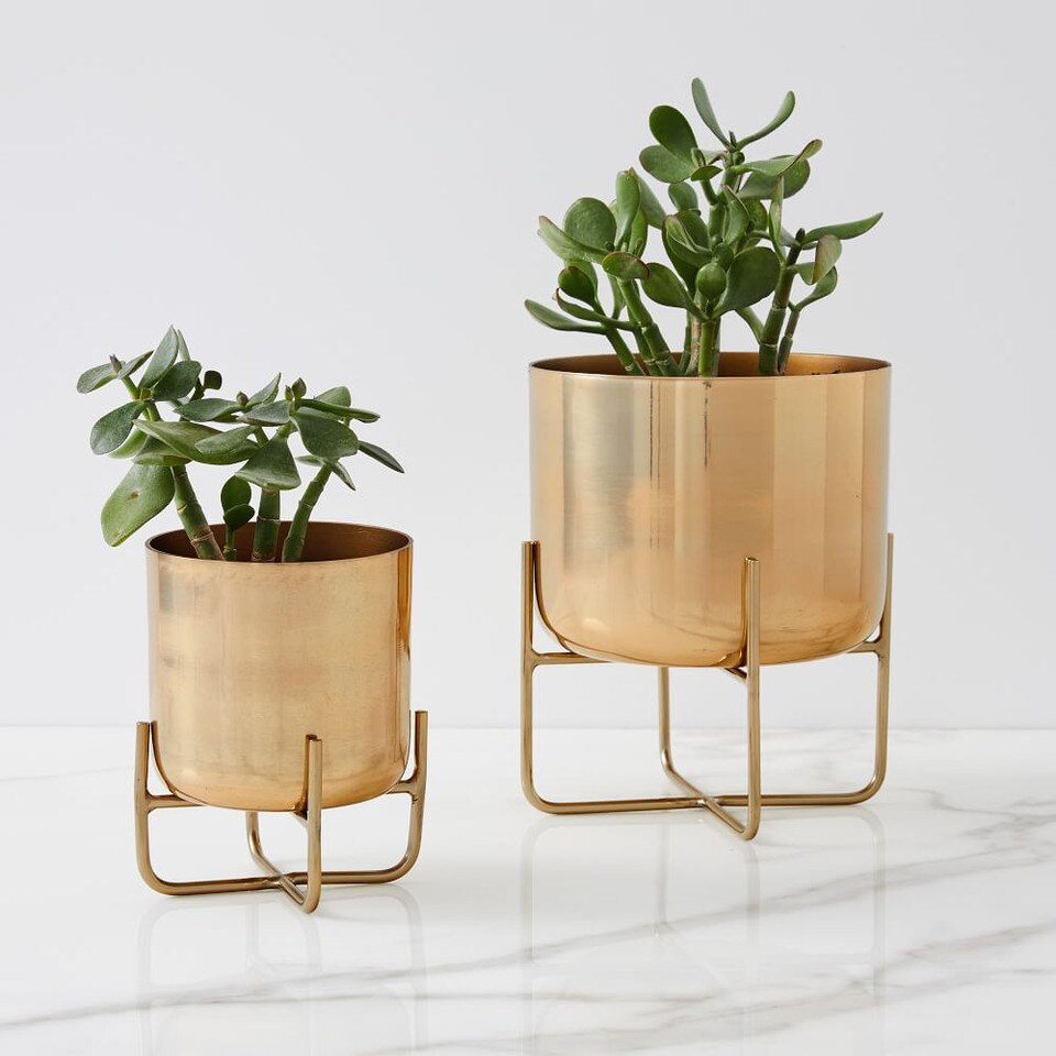 Spun Metal Tabletop Planters Antique Brass West Elm Australia