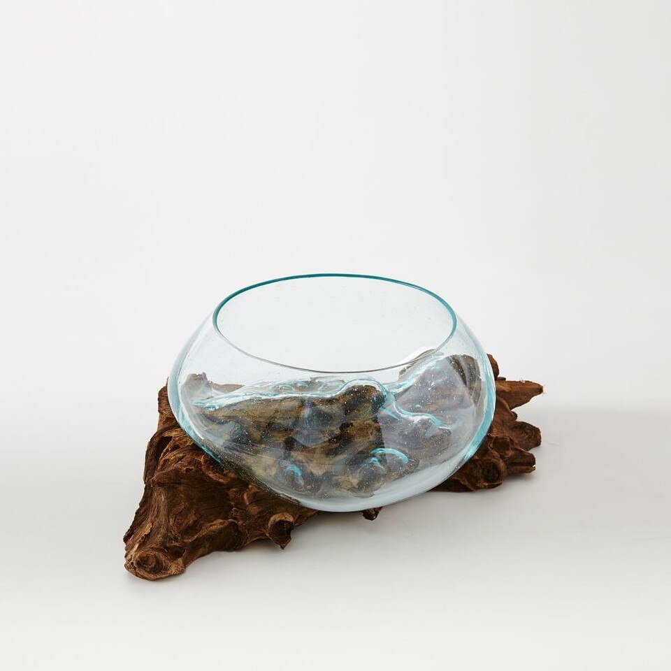 Wood + Glass Terrariums