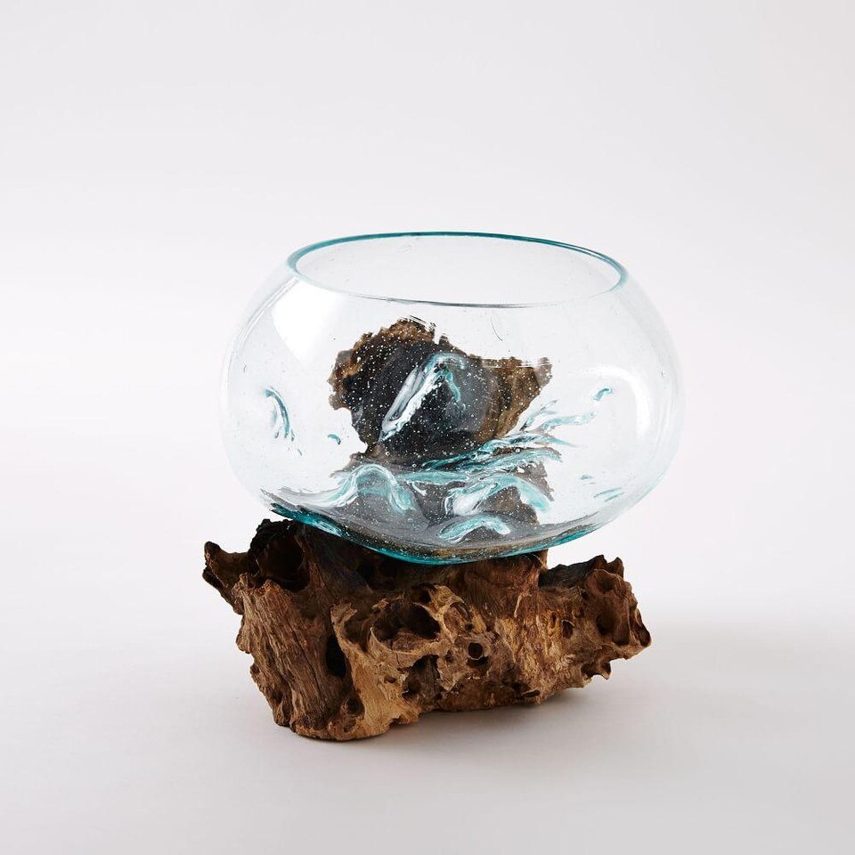 Wood + Glass Terrariums